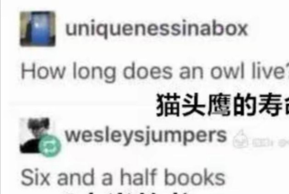 在英国人的眼中,一只猫头鹰的寿命有多长?