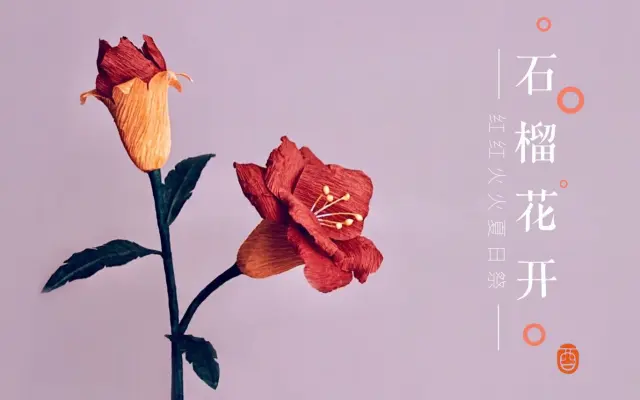 茄粒的纸花屋的个人空间 哔哩哔哩 Bilibili