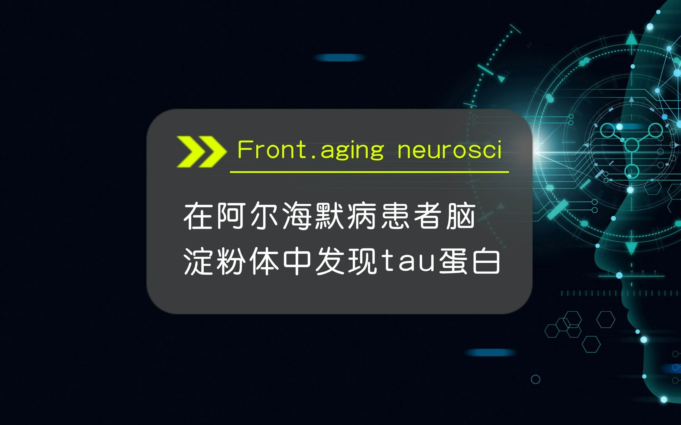 【前沿快讯】在阿尔海默病患者脑淀粉体中发现tau蛋白哔哩哔哩bilibili