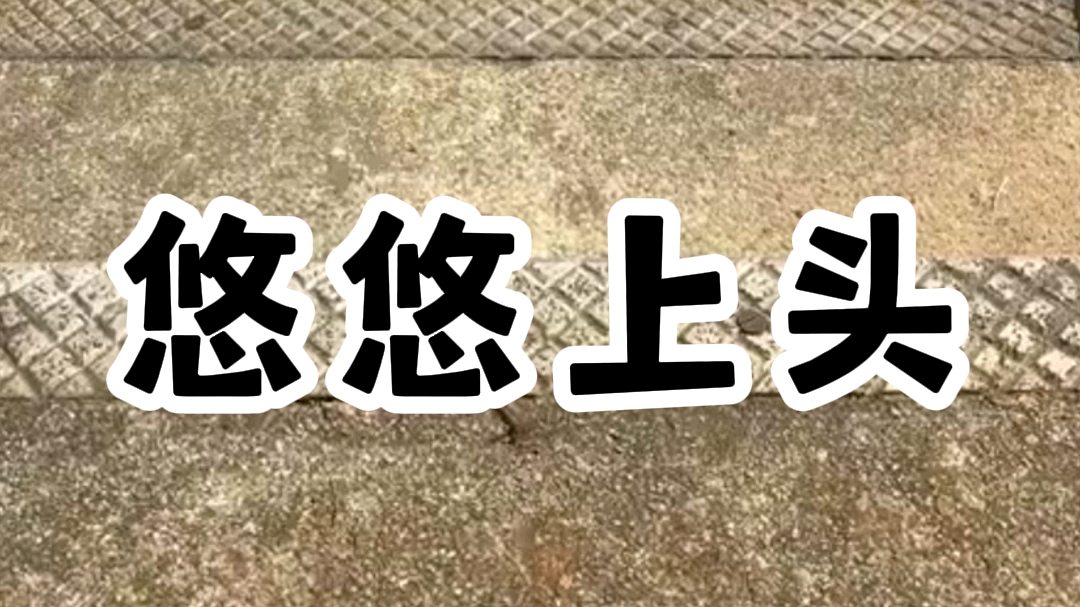 【小说】他把我送进了戒瘾所,为了戒掉他,后来他后悔了哔哩哔哩bilibili