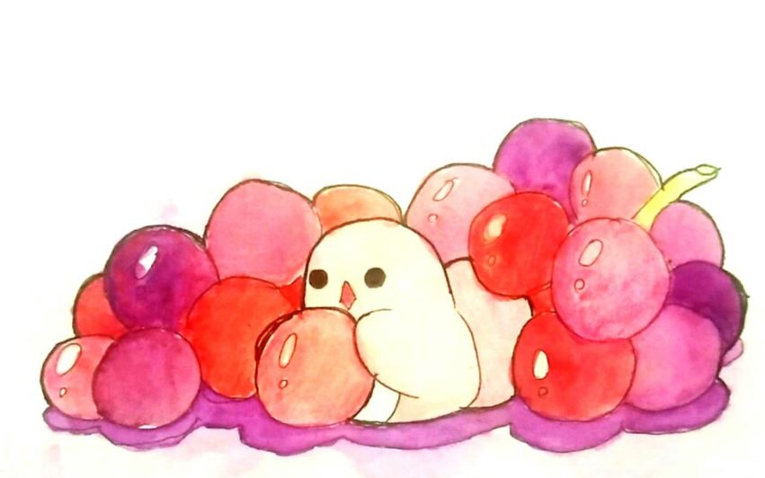 【一分钟手绘】比丢 葡萄