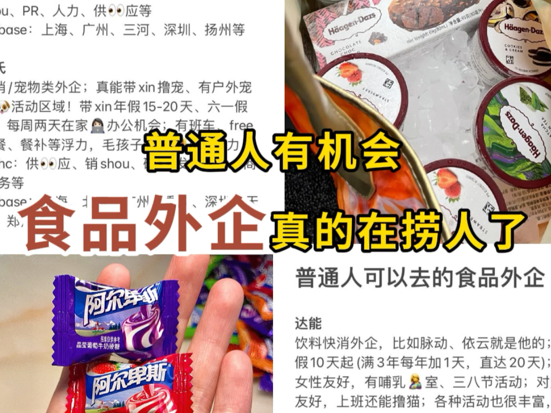 劝普通背景的朋友,找工作可以看看食品外企!最近在招人噢哔哩哔哩bilibili