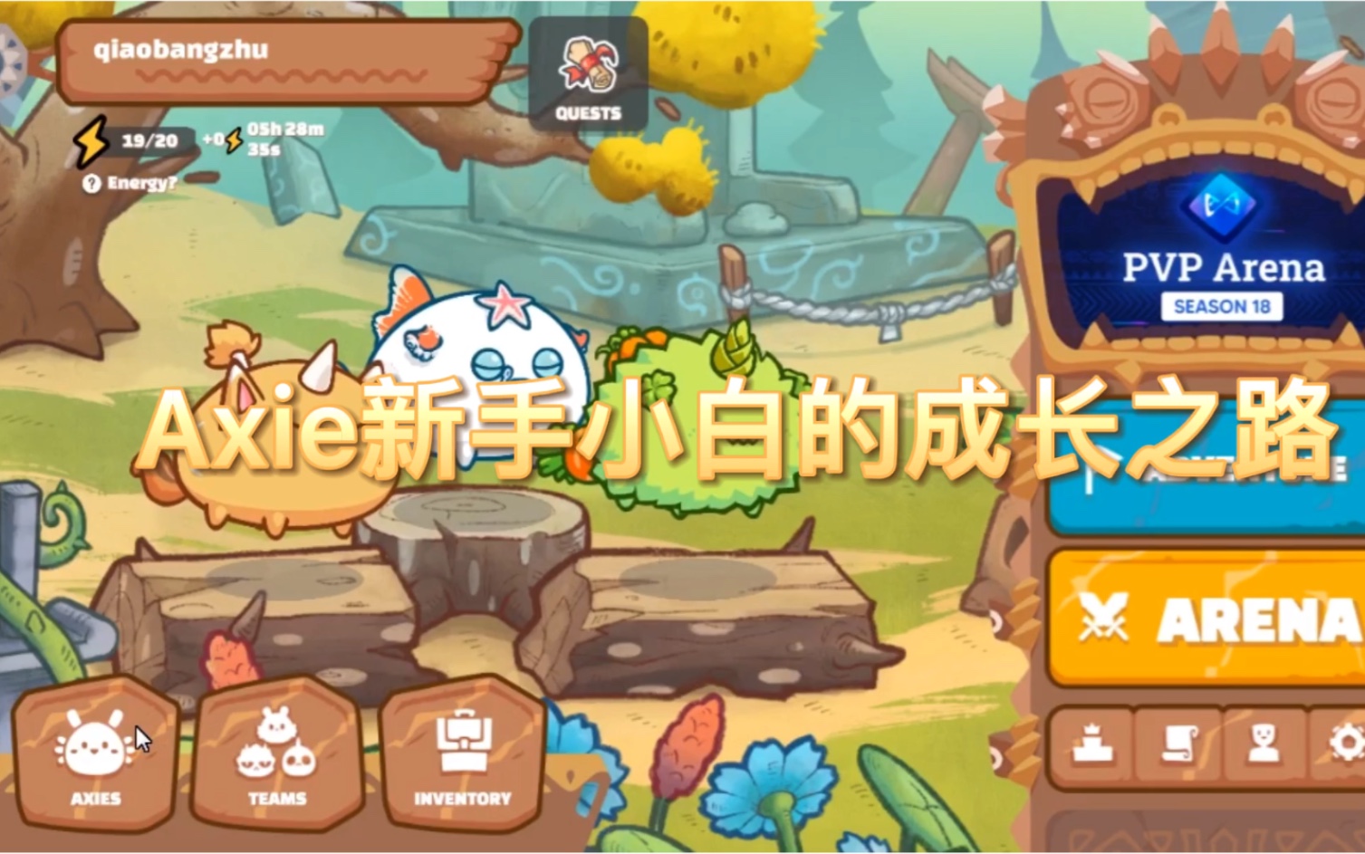 Axie新手小白的入门教程哔哩哔哩bilibili