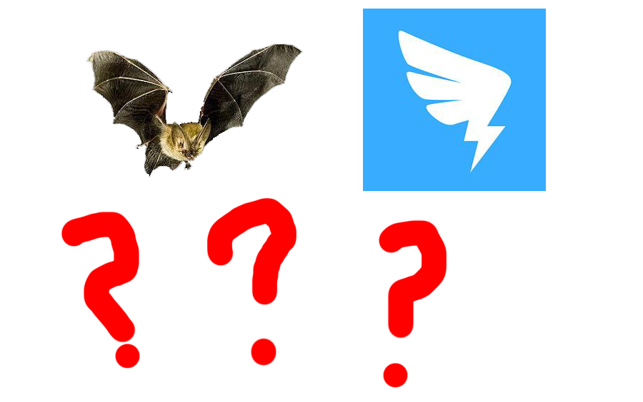 钉钉和蝙蝠的关系实锤了_哔哩哔哩 (゜-゜)つロ 干杯~-bilibili