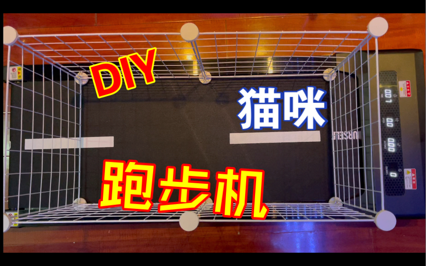 自制猫咪跑步机,助力猫咪减肥,摆脱肥胖危机!