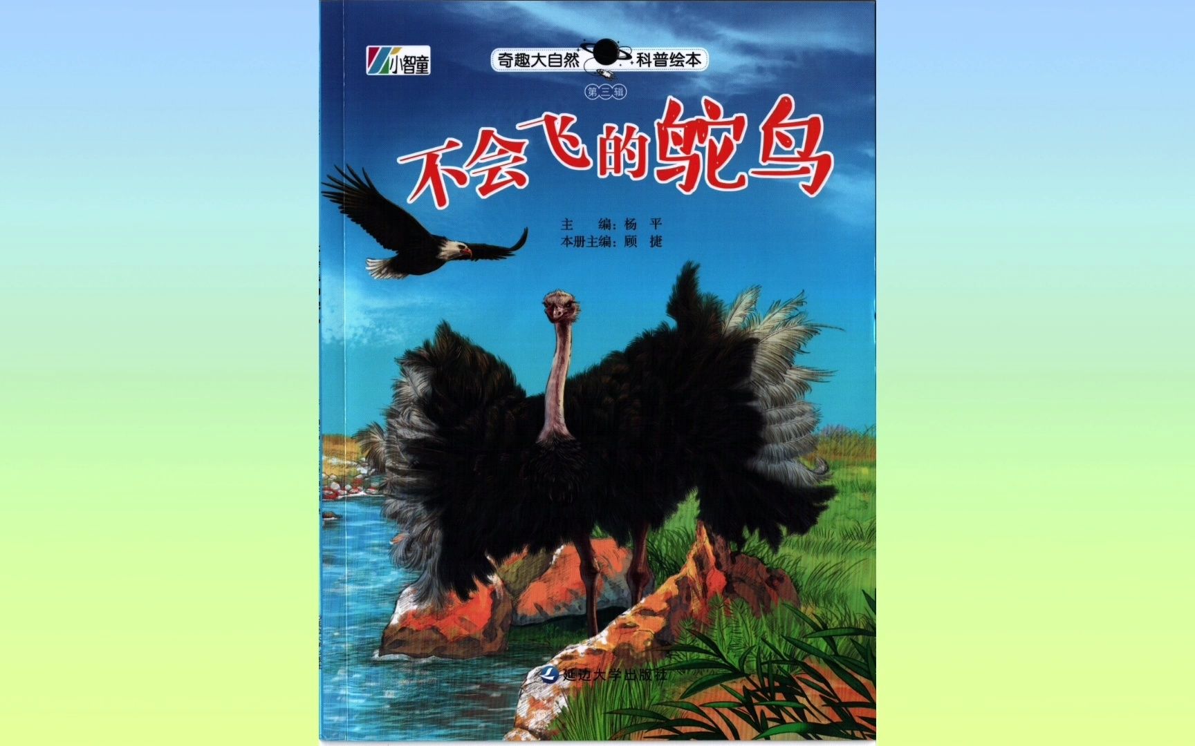 儿童启蒙科普绘本不会飞的鸵鸟