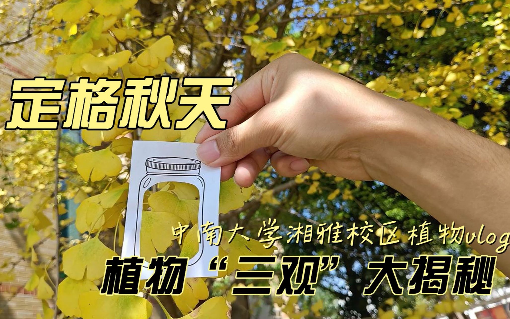 植物“三观＂大揭秘——中南大学湘雅校区植物vlog哔哩哔哩bilibili