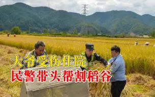 Télécharger la video: 大爷受伤住院民警带头帮忙割稻谷：骑三轮带孙女割稻谷途中侧翻