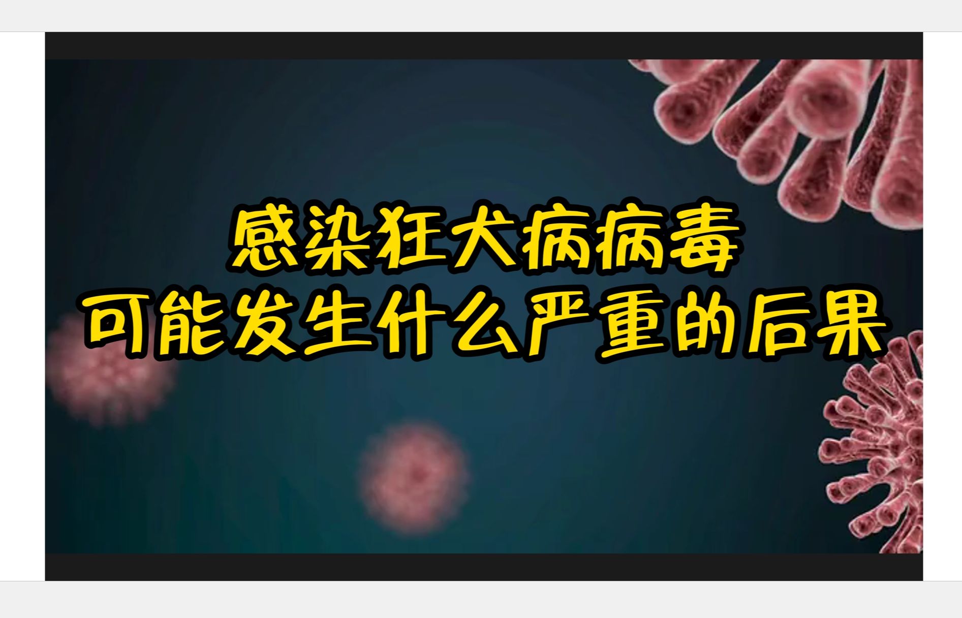 感染狂犬病病毒可能发生什么严重的后果?