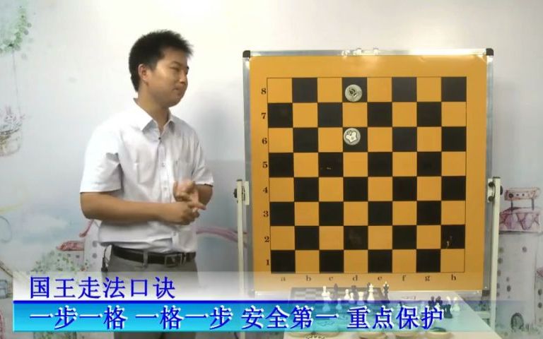 songbenlei国际象棋入门教程 第2集 棋子的基本走法及吃法哔哩哔哩bilibili