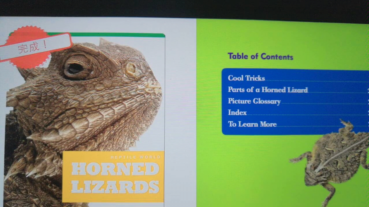 英语绘本讲解阅读 horned lizards