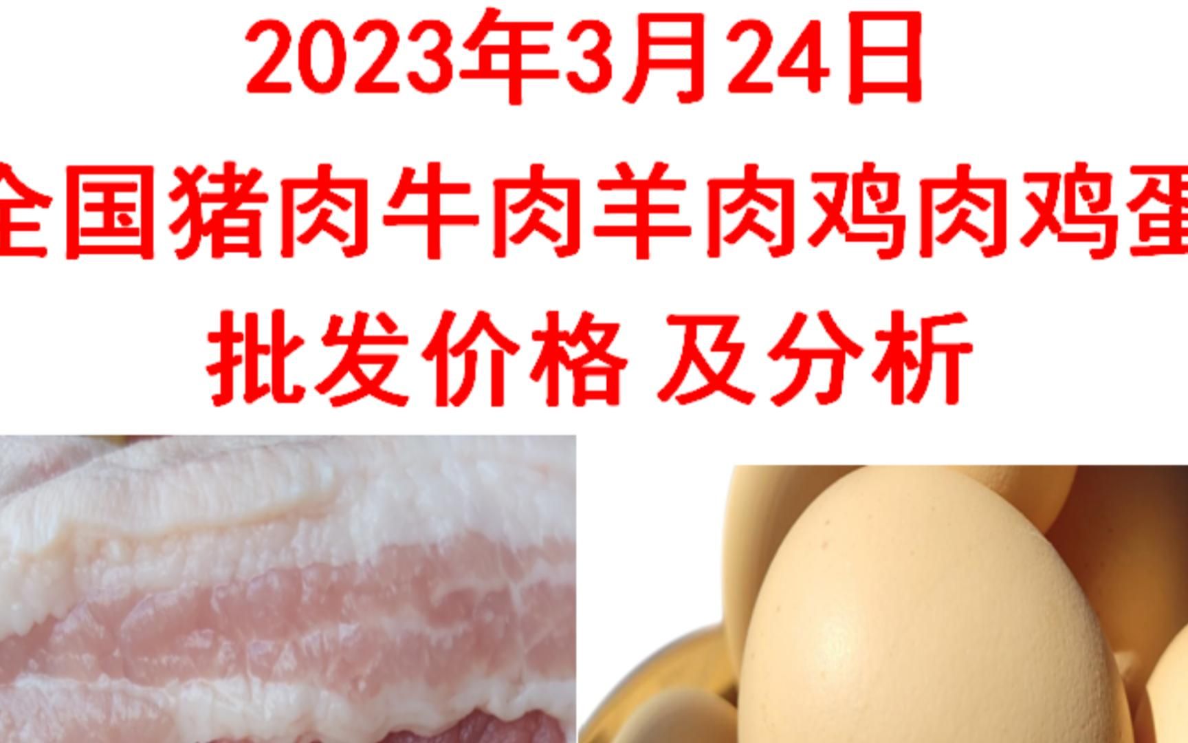 2023年03月24日全国猪肉牛肉羊肉鸡肉鸡蛋批发价格日报走势分析哔哩哔哩bilibili