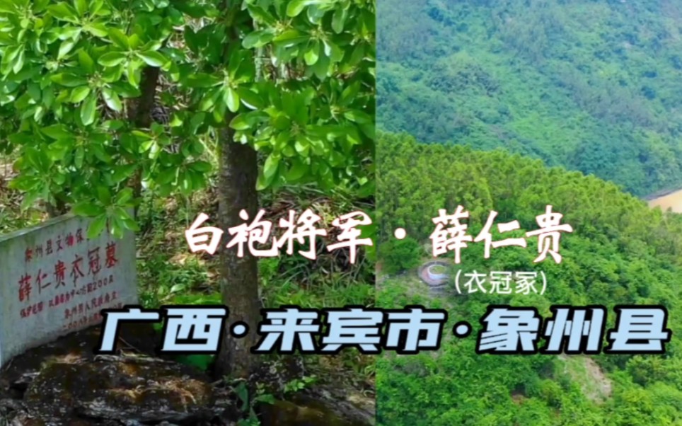 广西象州县回面山,大唐将军薛仁贵衣冠冢,象州县文物保护单位哔哩哔哩bilibili