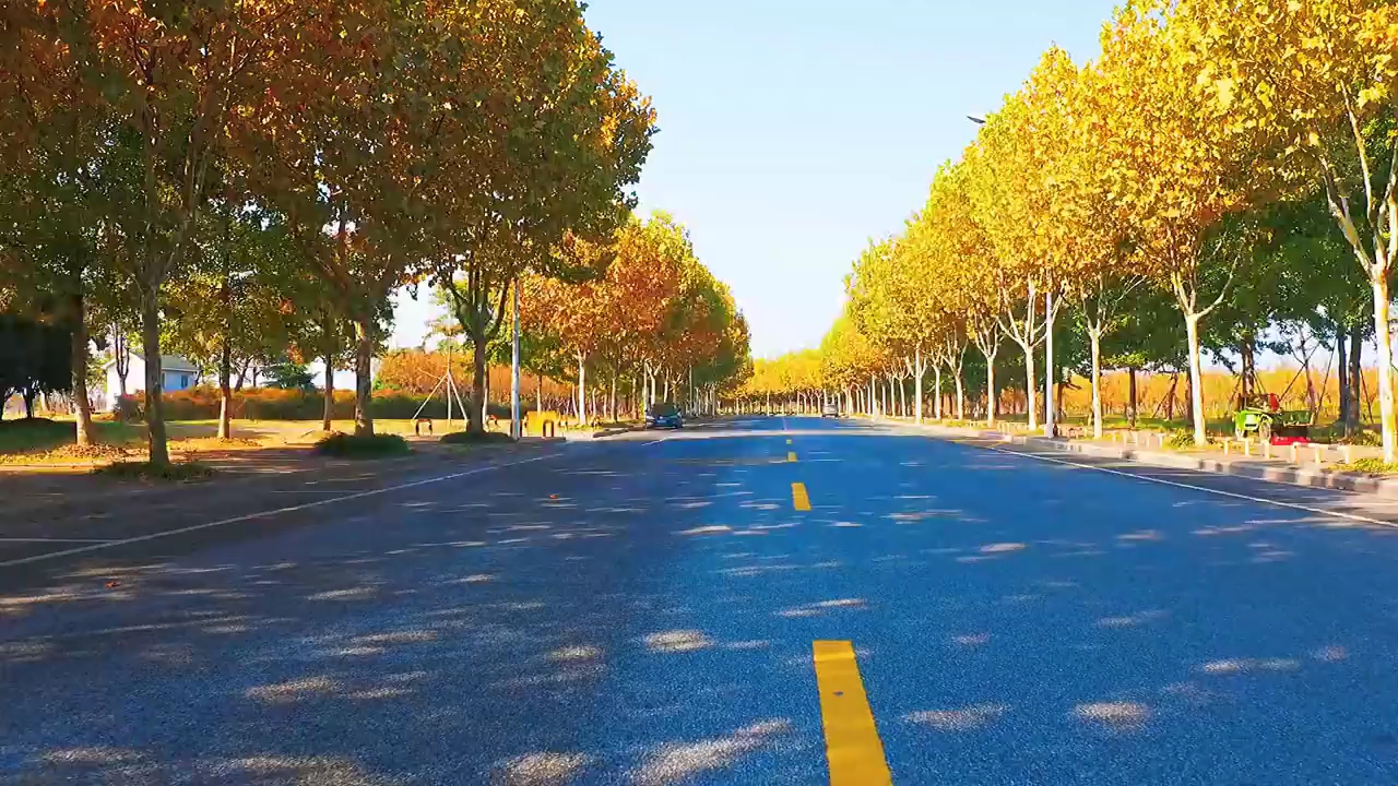 [图]风雨人生路自己慢慢领悟﹥﹤