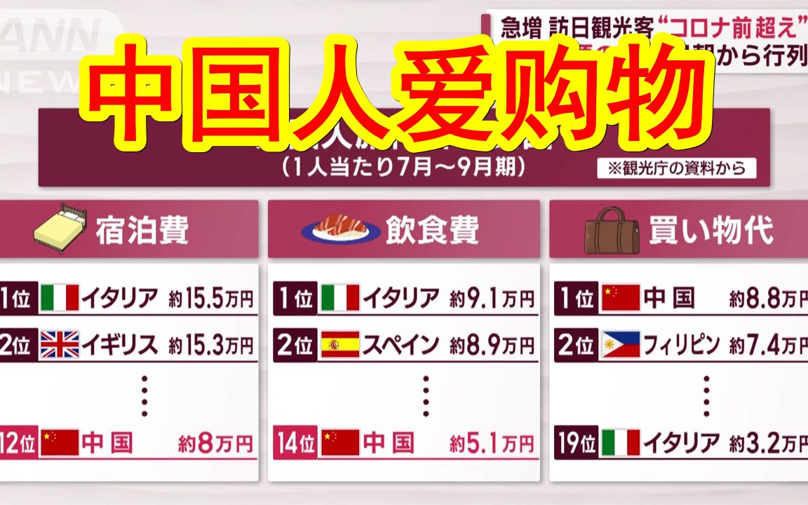 【中日双语】中国人最爱购物、意大利人爱吃喝爱睡觉、美国人爱娱乐.日本旅游世界各国游客消费数据偏好.哔哩哔哩bilibili