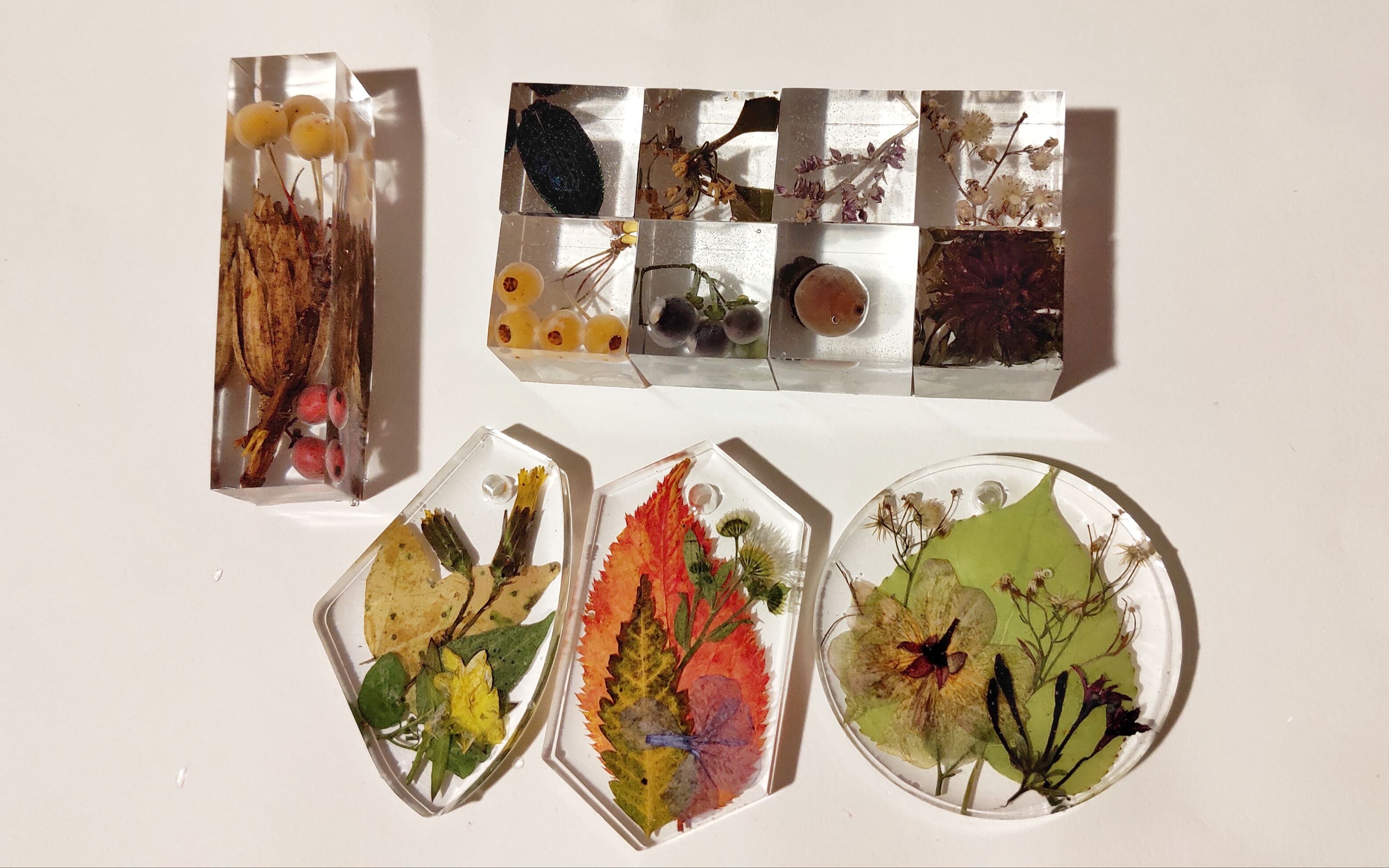 进来解压!植物标本滴胶脱模过程5