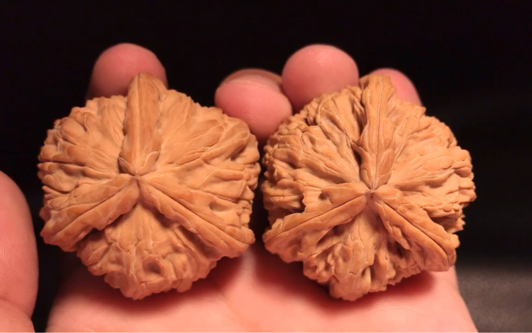 全品无修天然白狮子三棱文玩核桃_哔哩哔哩_bilibili