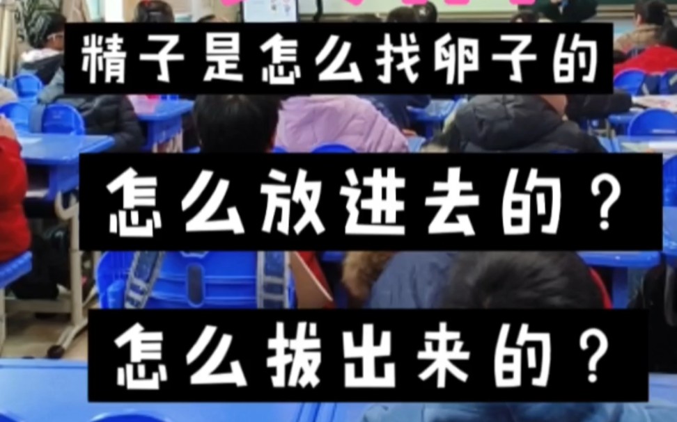 学生们反复问:精子是怎么找卵子的?怎么放进去的?我怎么知道该拔出来了?哔哩哔哩bilibili