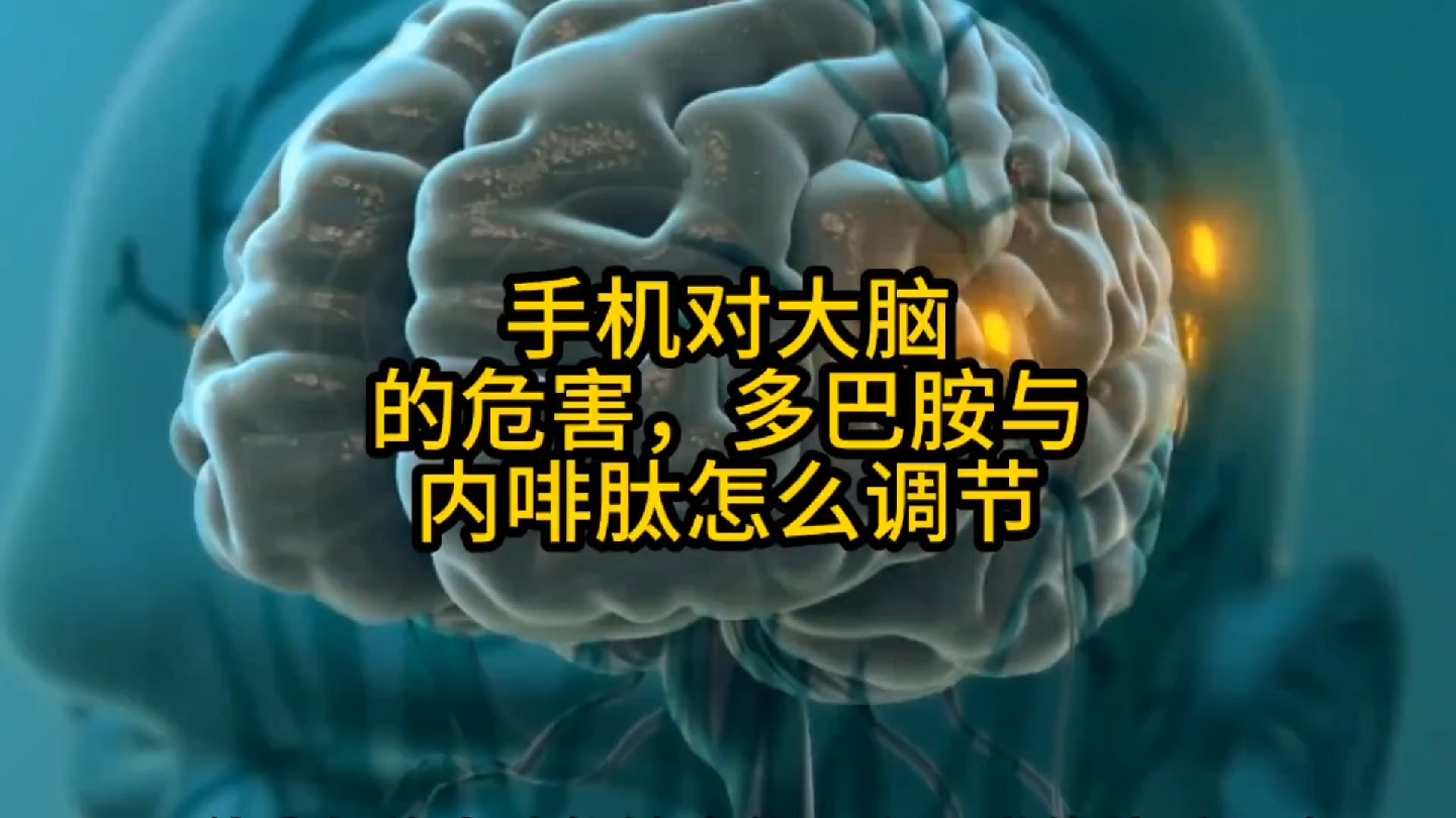 手机对大脑的危害，多巴胺与内啡肽怎么调节