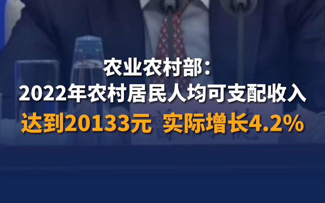 农业农村部:2022年农村居民人均可支配收入达到20133元,实际增长4.2%哔哩哔哩bilibili