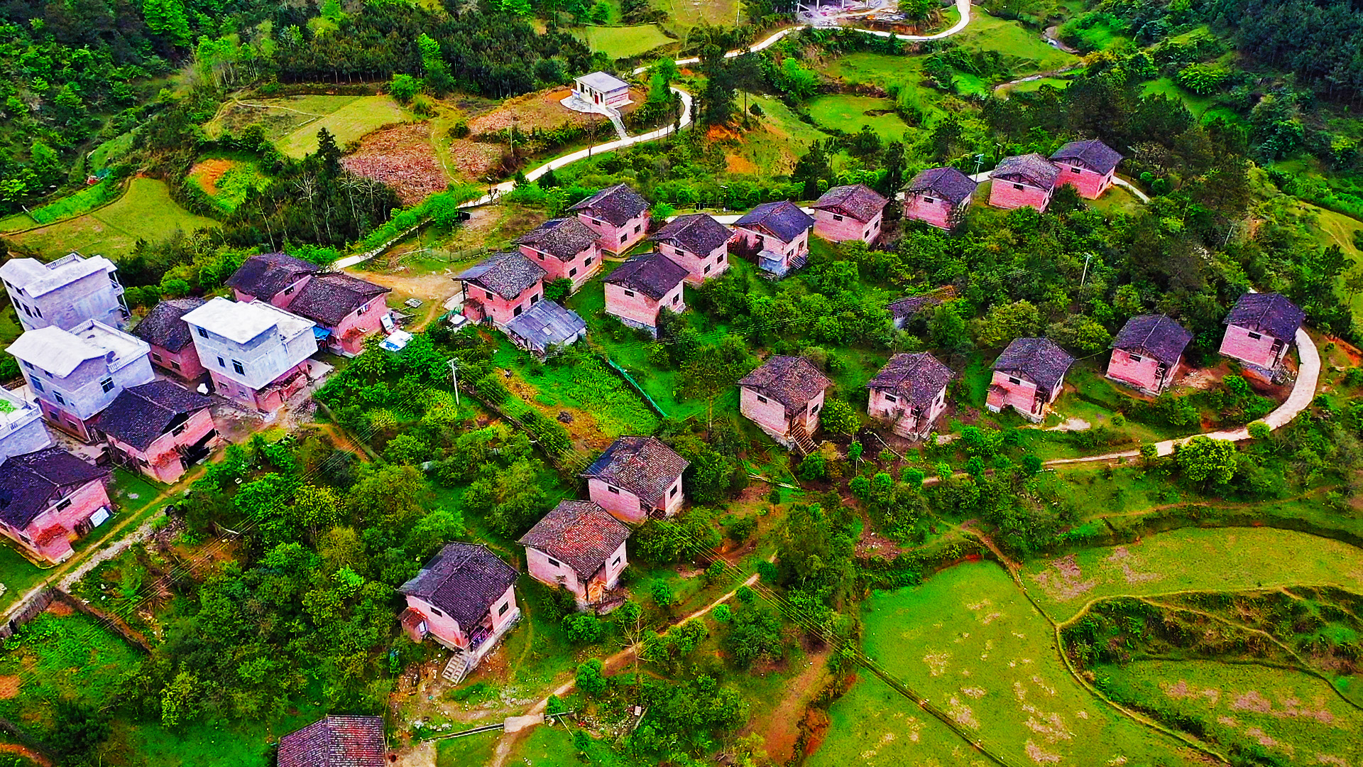 在南丹县农村,发现一个寨子的房子很特别,严然一派别墅群的景象