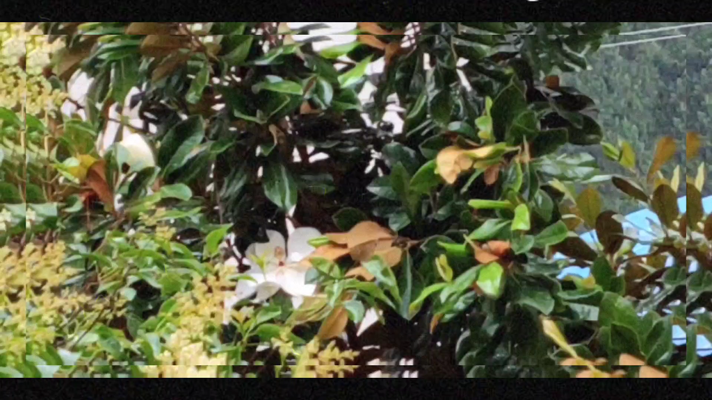 [图]青春是一场大雨，即使感冒，也渴望回头淋一场。