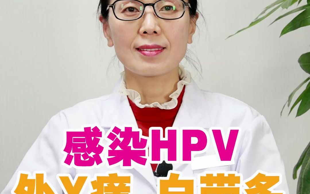 感染HPV外阴痒白带多主任有经验哔哩哔哩bilibili