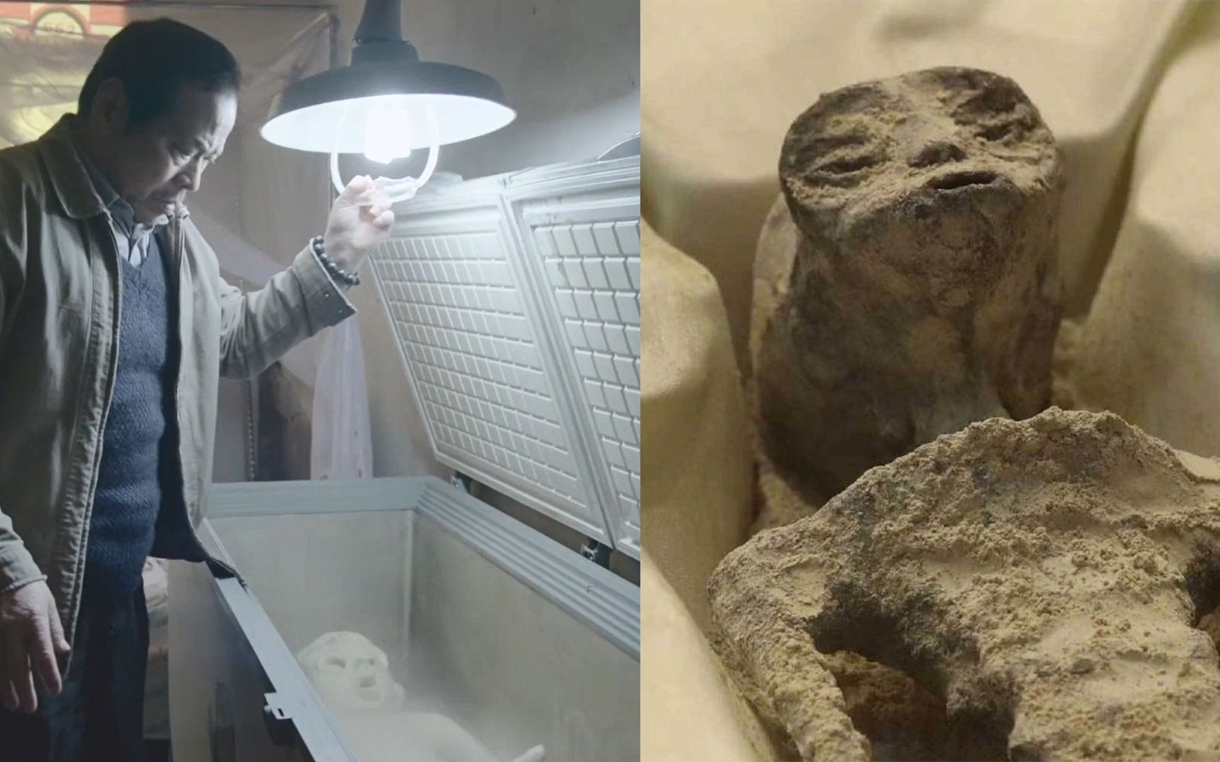 墨西哥公布外星人遗体,长得太符合刻板印象,宇宙探索编剧部照进现实