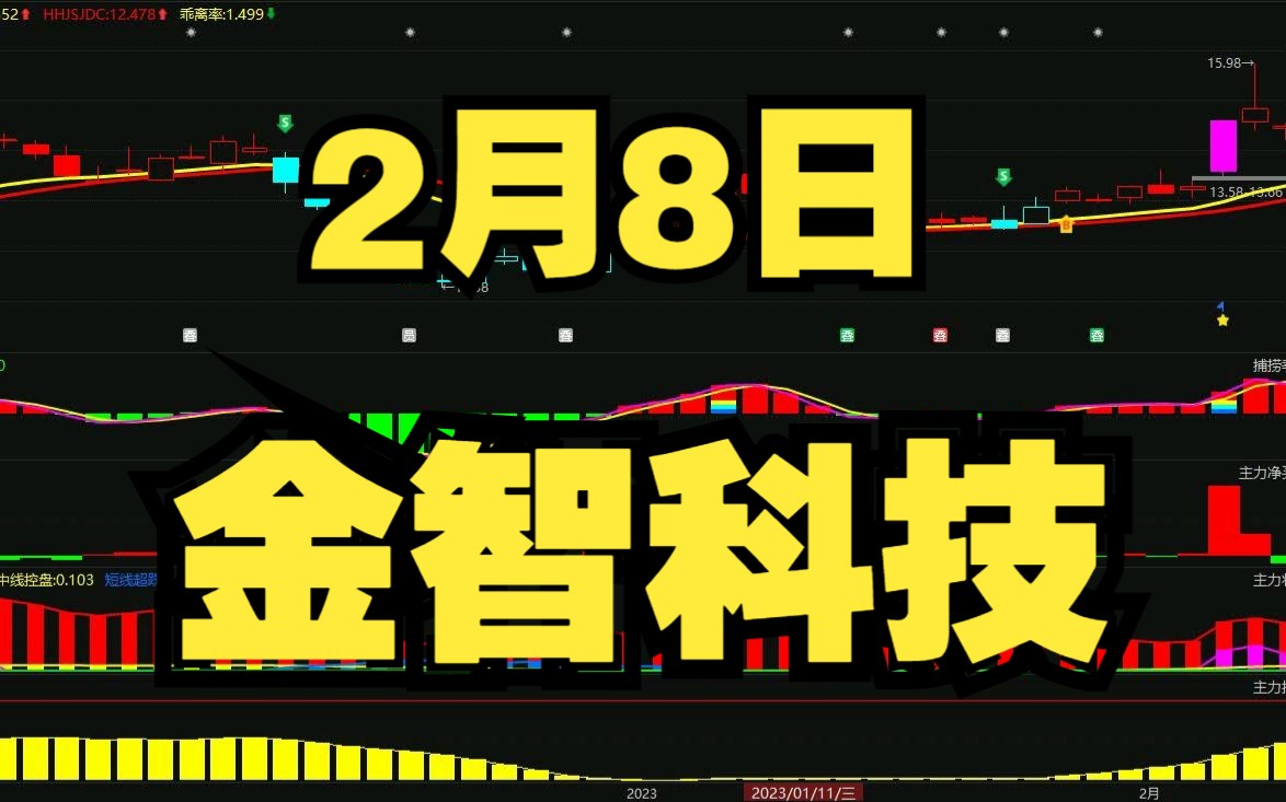 2月8日 金智科技:资金流出,怎么判断低吸高抛?哔哩哔哩bilibili