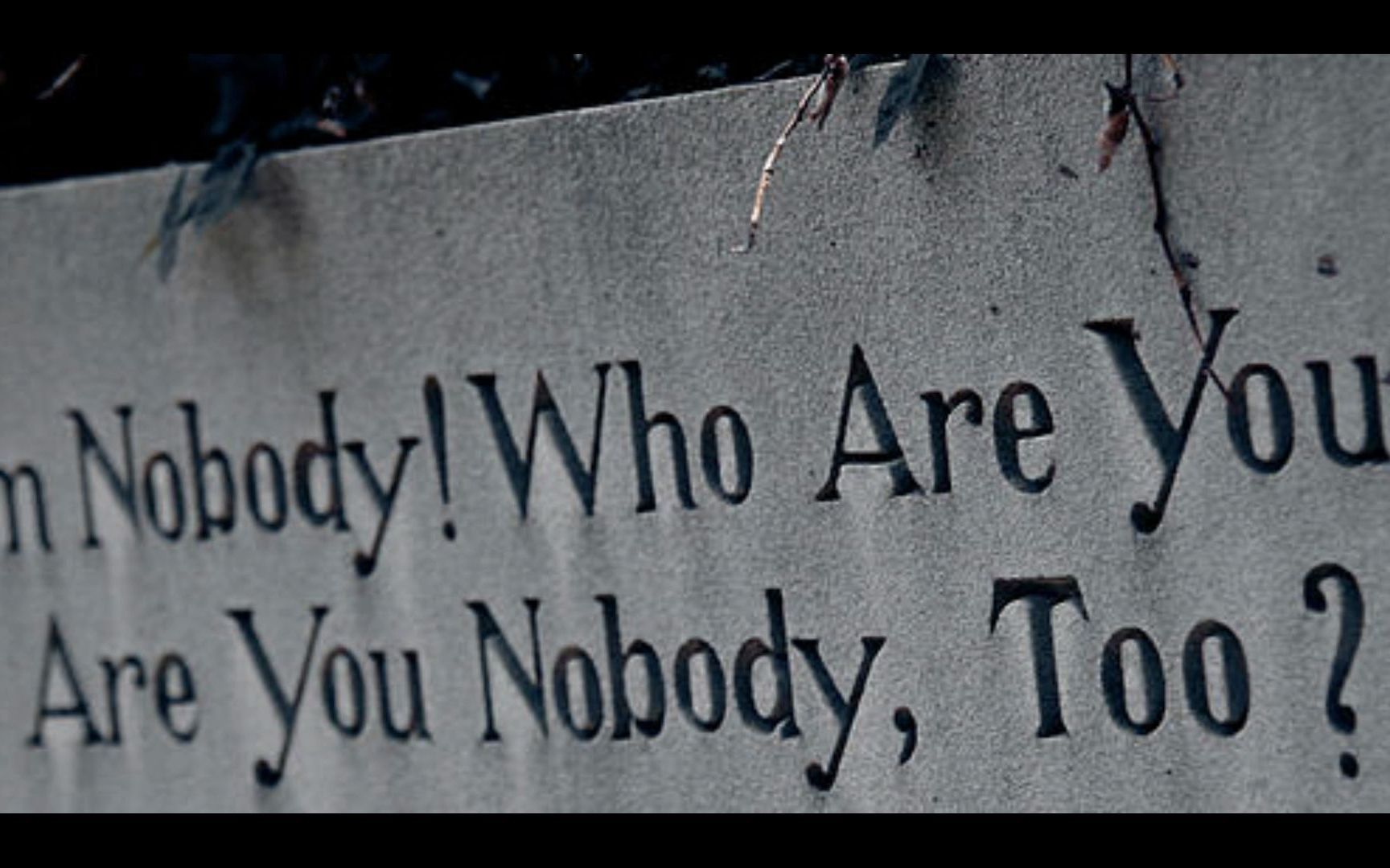 [图]【英诗朗诵】I'm Nobody! Who are you?（美音）