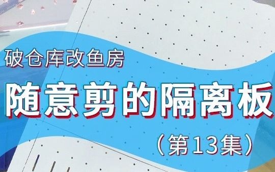 鱼缸水族浑浊.今天给鱼缸安装鱼缸隔离板,把底吸水泵的生化棉撤走.方便鱼缸滴流盒更通畅过滤水质.哔哩哔哩bilibili