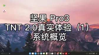 下载视频: TNT 2.0 初体验1（坚果 Pro3）干掉电脑还有多远？