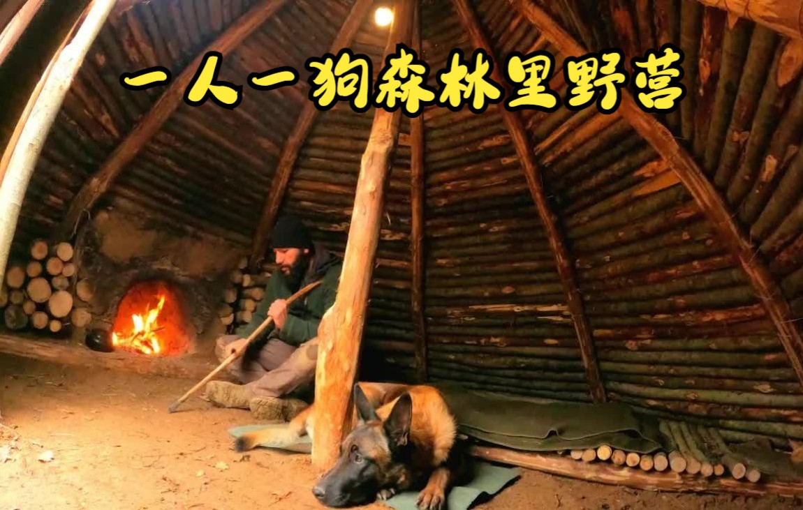 [图]一人一狗森林里野营-建造带壁炉的猎人小屋，用木头和粘土建造的丛林避难所（2）