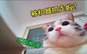 Download Video: 哈哈！当我有了一个移动摄像头后，家里的猫都惊呆了...