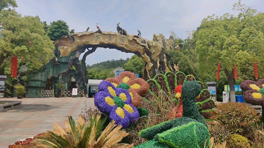 万物有灵互爱共生(苏州穹窿山万鸟园)