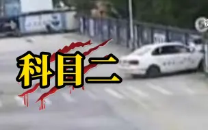 Télécharger la video: 两学员练科目二撞树再撞墙致死，教练被判入狱一年半