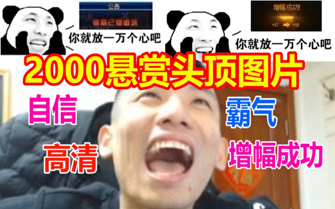 宝哥2000悬赏头顶图片!要自信!霸气!增幅成功的!哔哩哔哩bilibili