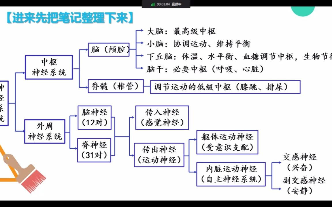 【选一】2.1神经系统的基本结构哔哩哔哩bilibili