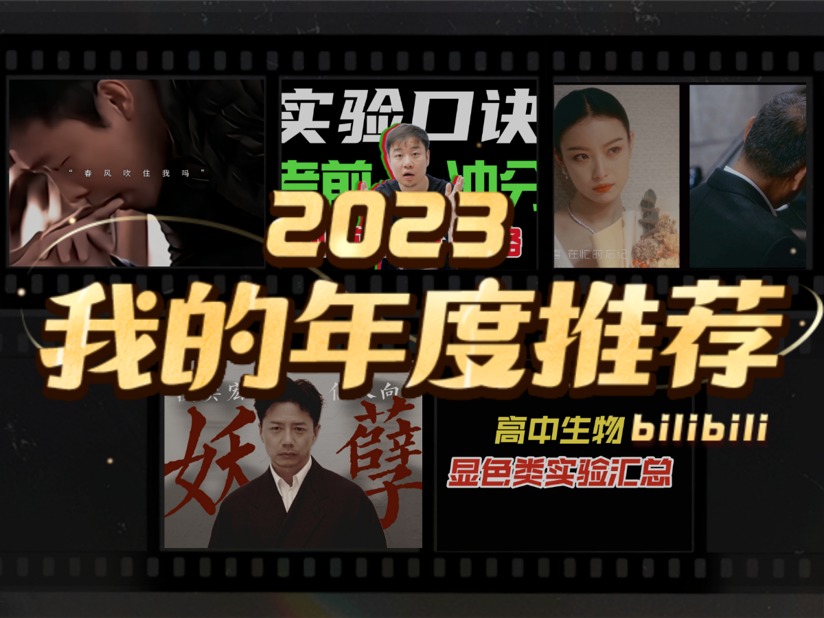 戰略忽悠局_的2023年度推薦