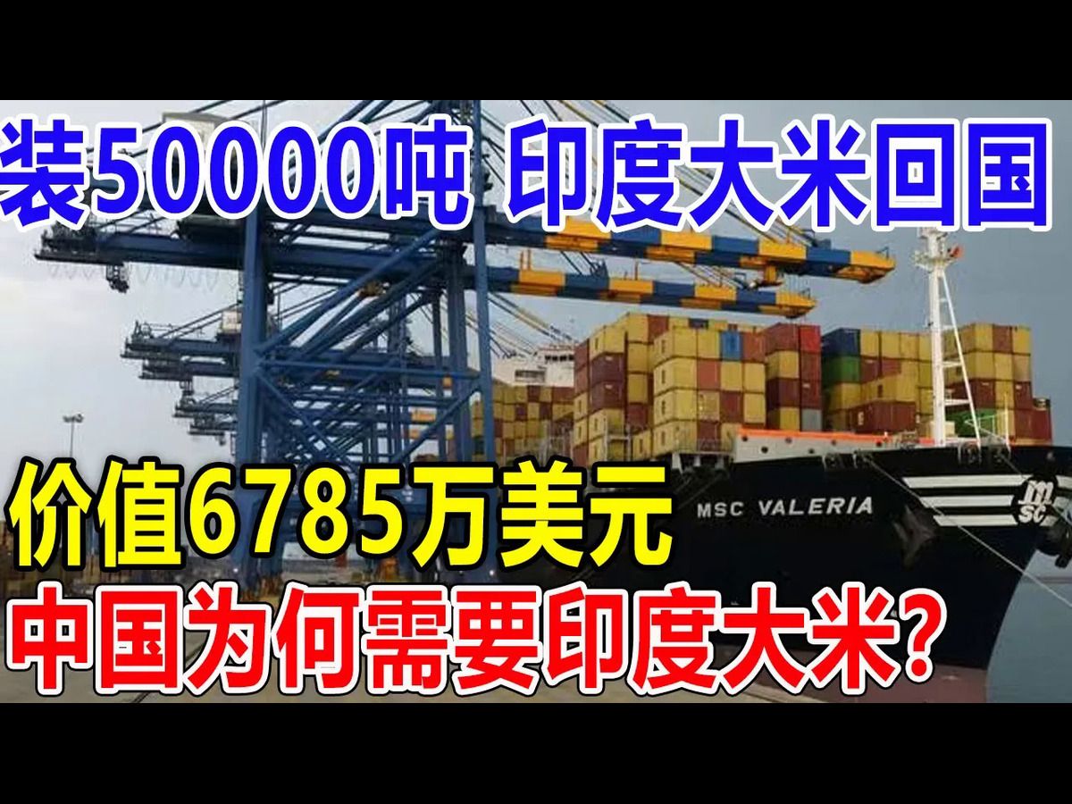 装50000吨印度大米回国!价值6785万美元!中国为何需要印度大米?哔哩哔哩bilibili