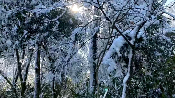 [图]破雪下个没完.