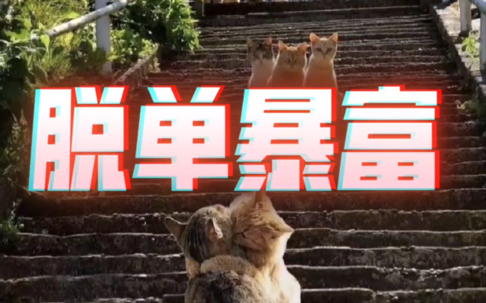 【祝福】祝大家脱单暴富逢考必过身体健康万事顺心