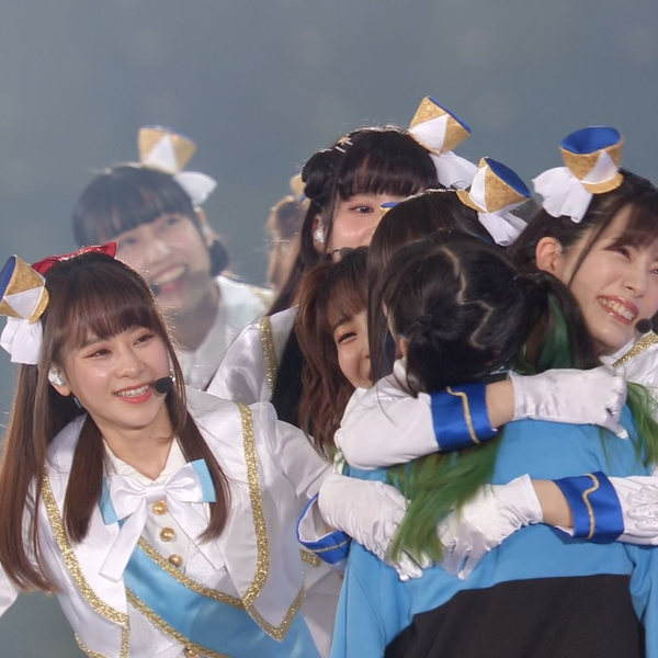 ビカクシダ P.bilibili thunder 0089e3275a1c7809e2fa5a20819ffd