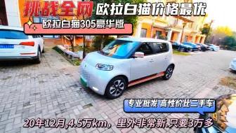 欧拉白猫豪华版，4.5万km，3万起，性价之王
