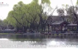 Video herunterladen: 清明踏青，北京市民静享什刹海的宁静淡雅