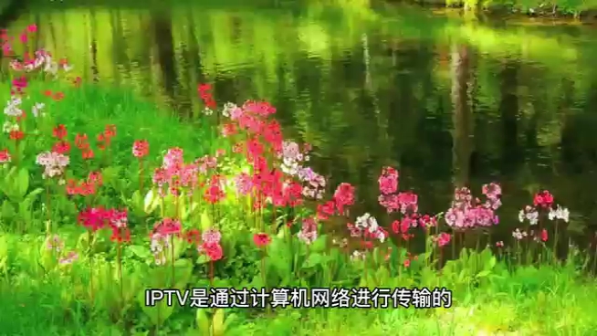 IPTV常用几种传输协议哔哩哔哩bilibili