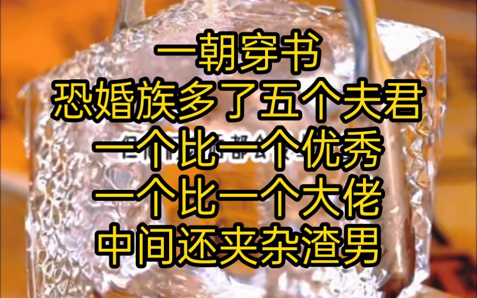 一朝穿书,恐婚族多了五个夫君五个夫君一个比一个优秀,一个比一个大佬,中间还夹杂渣男《有情太女》哔哩哔哩bilibili