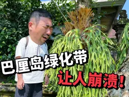 Download Video: 为绿化带正名！爱上绿化带是我的命运我了解～！