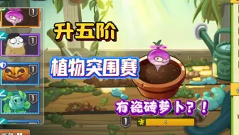 升五阶的植物突围赛开始了，居然有瓷砖萝卜