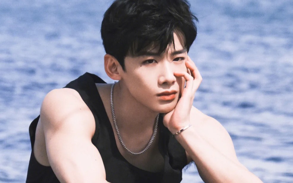 白敬亭向,怀柔王子白举铁